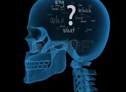 illustration of a skull with questions